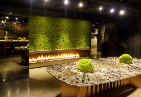 Встраиваемый очаг 2000 SappFire Встраиваемый очаг 2000 SappFire по цене 64 400 руб.